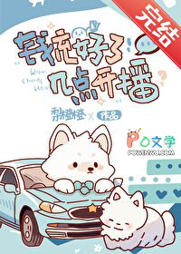 几点开播txt百度云